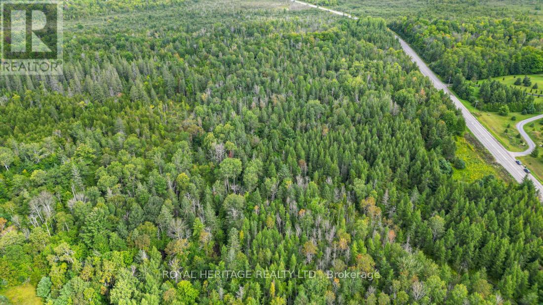 0 County Road 25, Cramahe, Ontario  K0K 1M0 - Photo 10 - X9016807