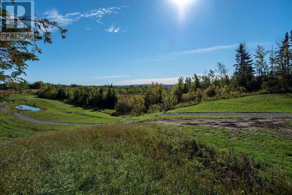 176, 27111 597 Highway, Rural Lacombe County, Alberta  T0M 0J0 - Photo 4 - A2139323