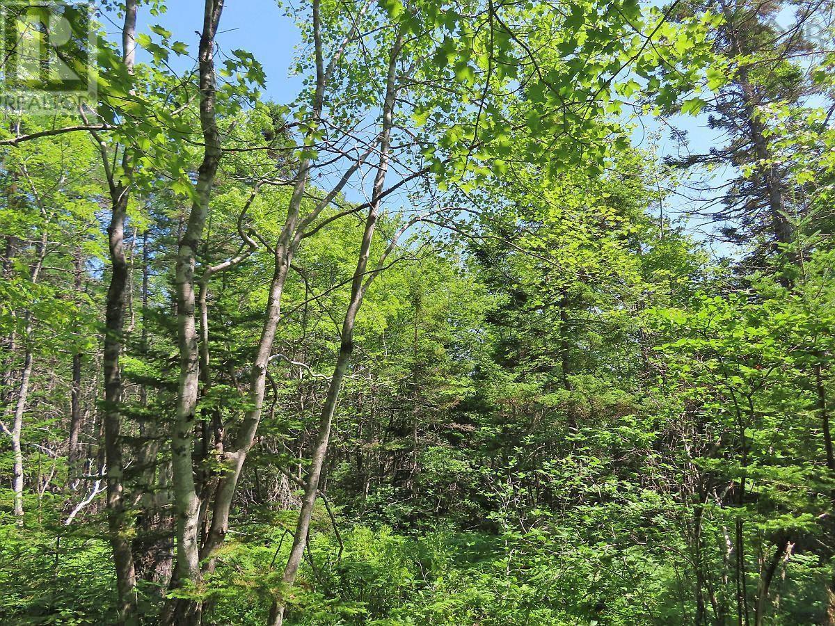 Lot 2 Perry Lane, Lennox Passage, Nova Scotia  B0E 1K0 - Photo 9 - 202416052