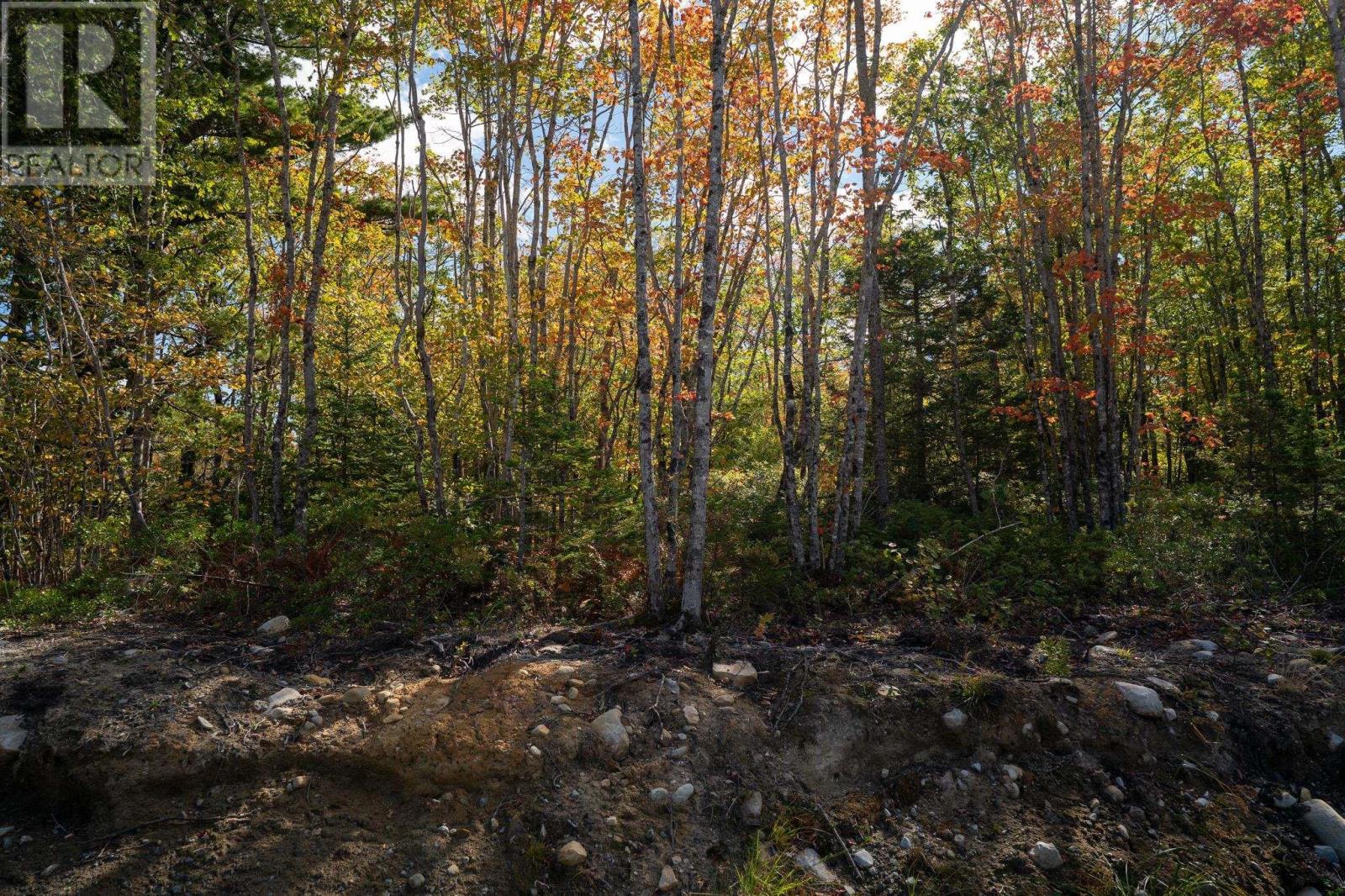 88 Morton Drive, liverpool, Nova Scotia