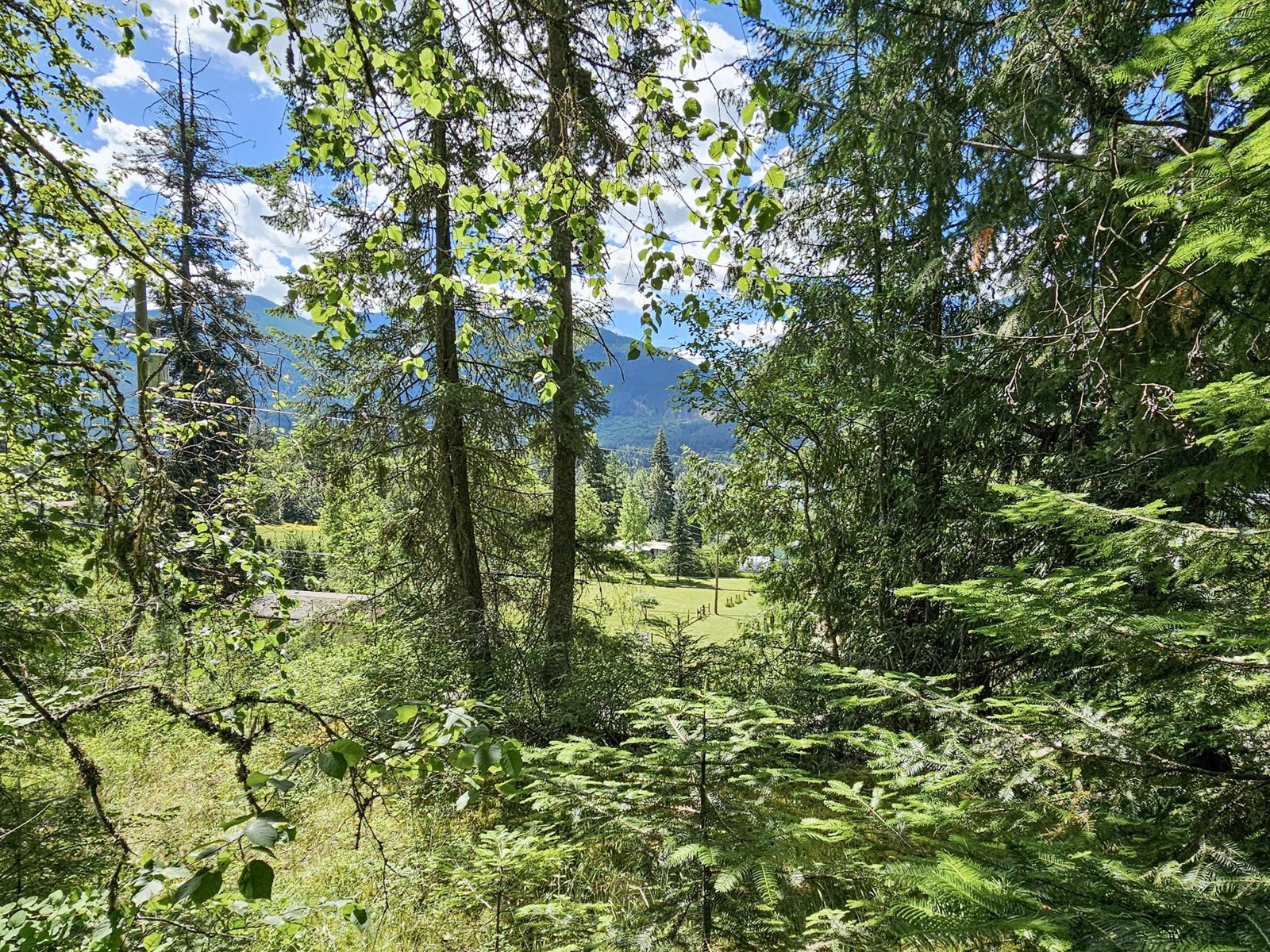 Lot 1 Longbeach Road, Nelson, British Columbia  V1L 6P2 - Photo 9 - 2478247