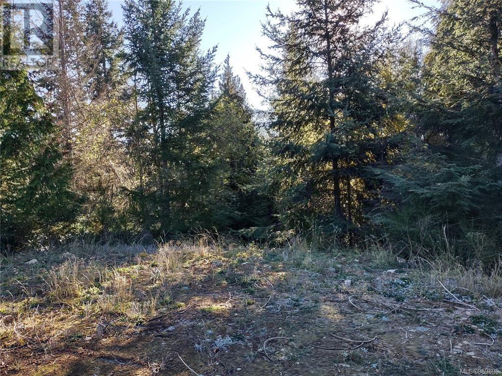 Lot 11 Goldstream Heights Dr, Shawnigan Lake, British Columbia  V0R 2W3 - Photo 15 - 969896