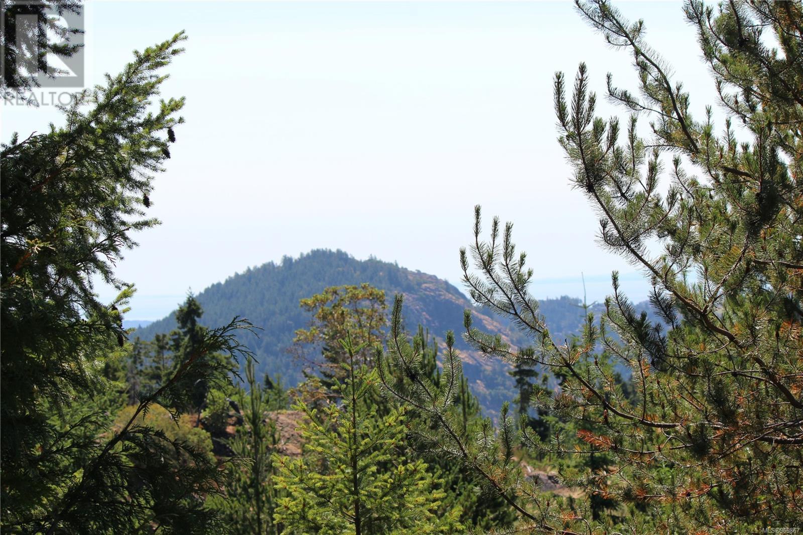 Lot 40 Goldstream Heights Dr, Shawnigan Lake, British Columbia  V0R 2W3 - Photo 11 - 969867