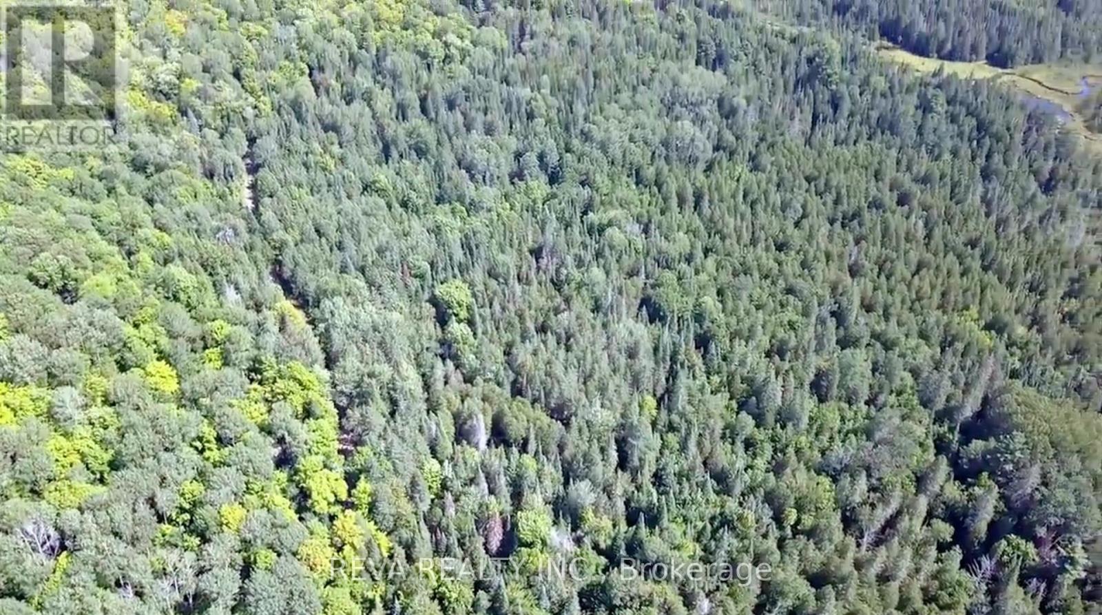 00 Snider Road, Addington Highlands, Ontario  K0J 2R0 - Photo 16 - X9019070