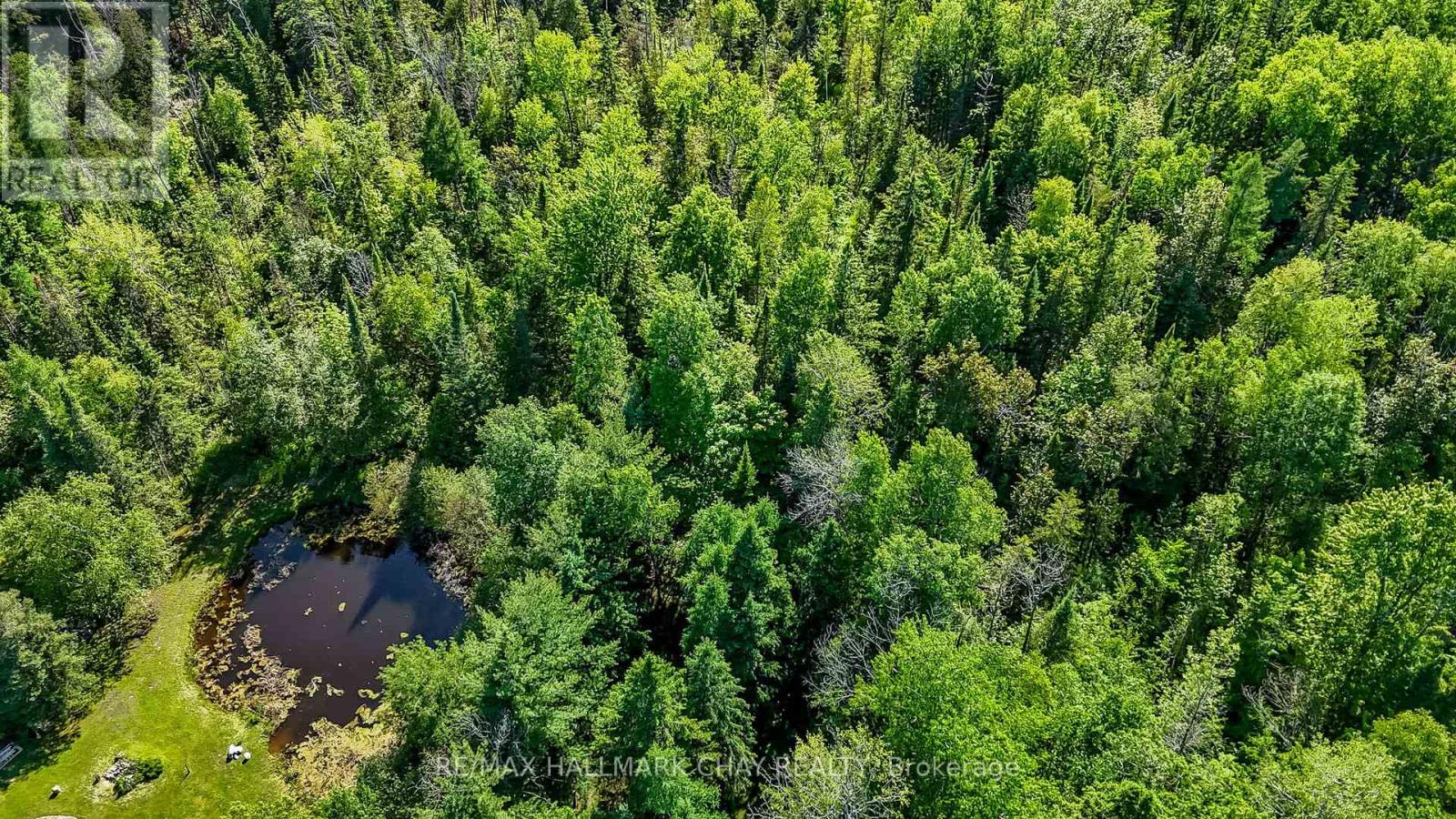 6624 County Road 10, New Tecumseth (Alliston), Ontario  L9R 1V2 - Photo 5 - N9019075