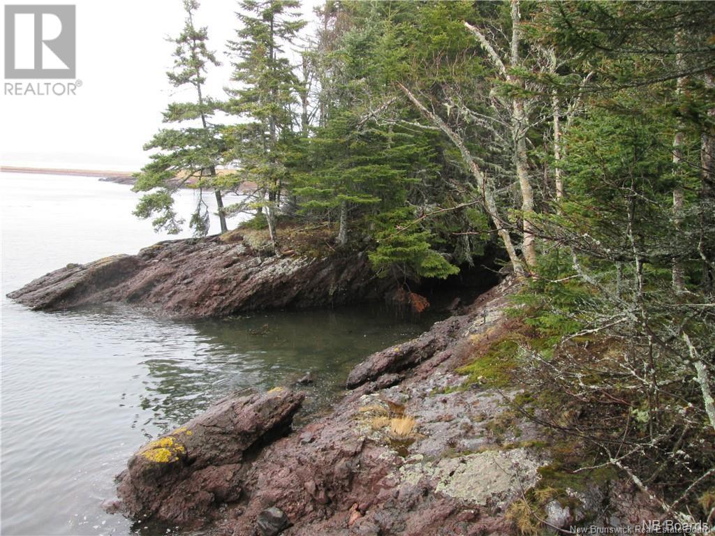 - Hills/mccann Island, Back Bay, New Brunswick  E5G 1G1 - Photo 26 - NB102928