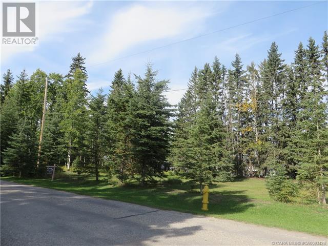 6312 47 Avenue, Rocky Mountain House, Alberta T4T 1G3 - Photo 3 - A2117827