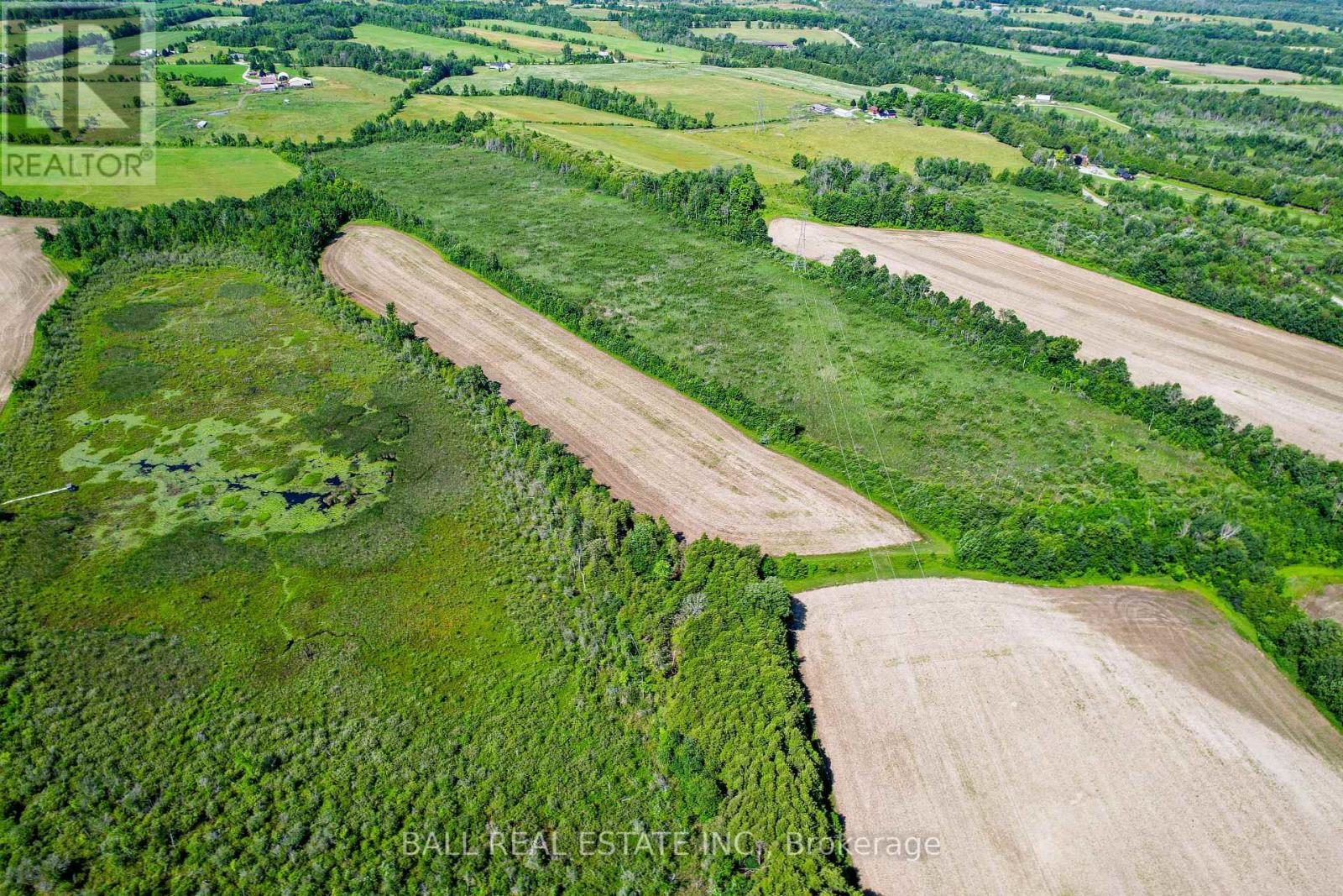 790 4th Line, Douro-Dummer, Ontario  K0L 2H0 - Photo 31 - X9019813