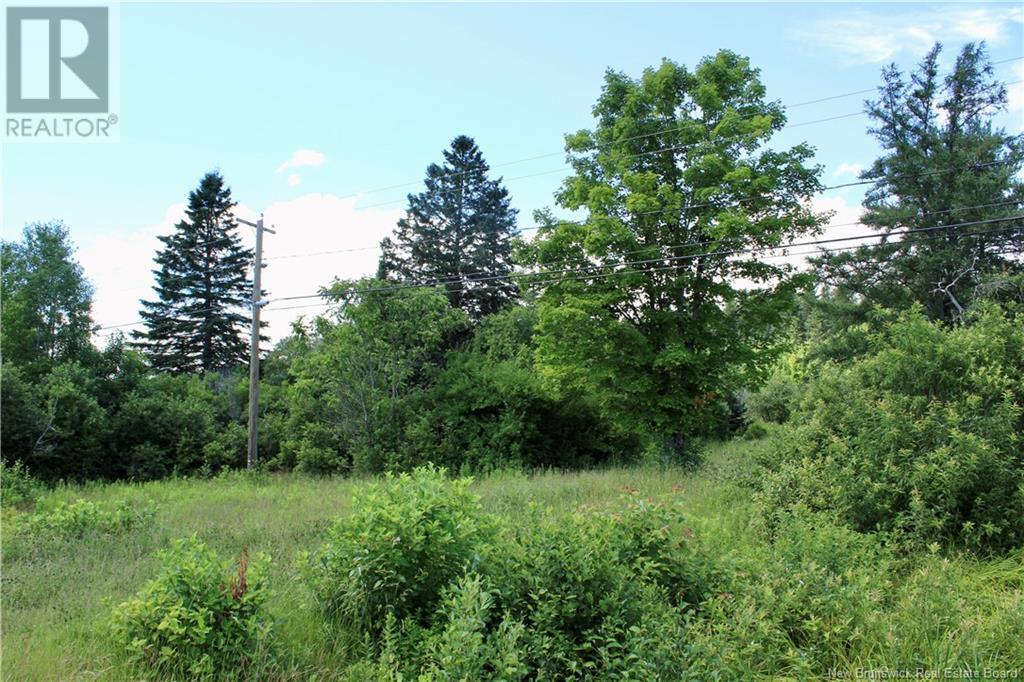 9841 Route 8, Blissfield, New Brunswick  E9C 1M3 - Photo 2 - NB102952