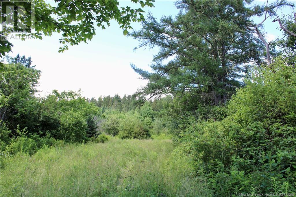 9841 Route 8, Blissfield, New Brunswick  E9C 1M3 - Photo 4 - NB102952