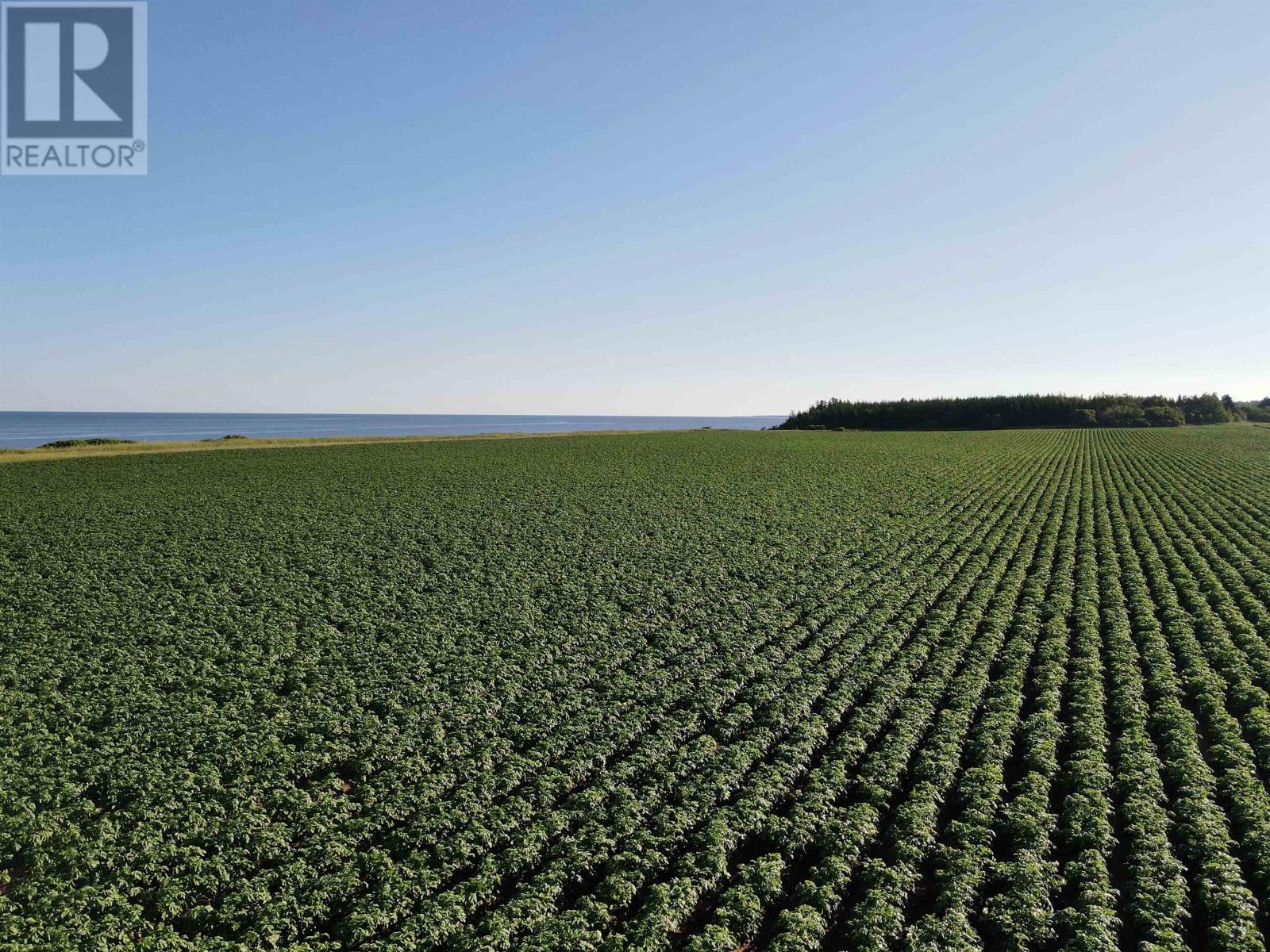 Lot 06-2 Route 14, Campbellton, Prince Edward Island  C0B 1E0 - Photo 18 - 202416197