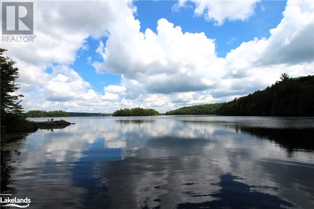 0a 20th Side Rd, Parry Sound Remote Area (Mcconkey), Ontario  P0H 1Y0 - Photo 14 - X10437409