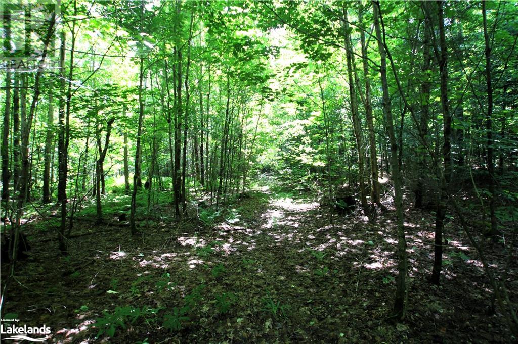 0a 20th Side Rd, Parry Sound Remote Area (Mcconkey), Ontario  P0H 1Y0 - Photo 2 - X10437409