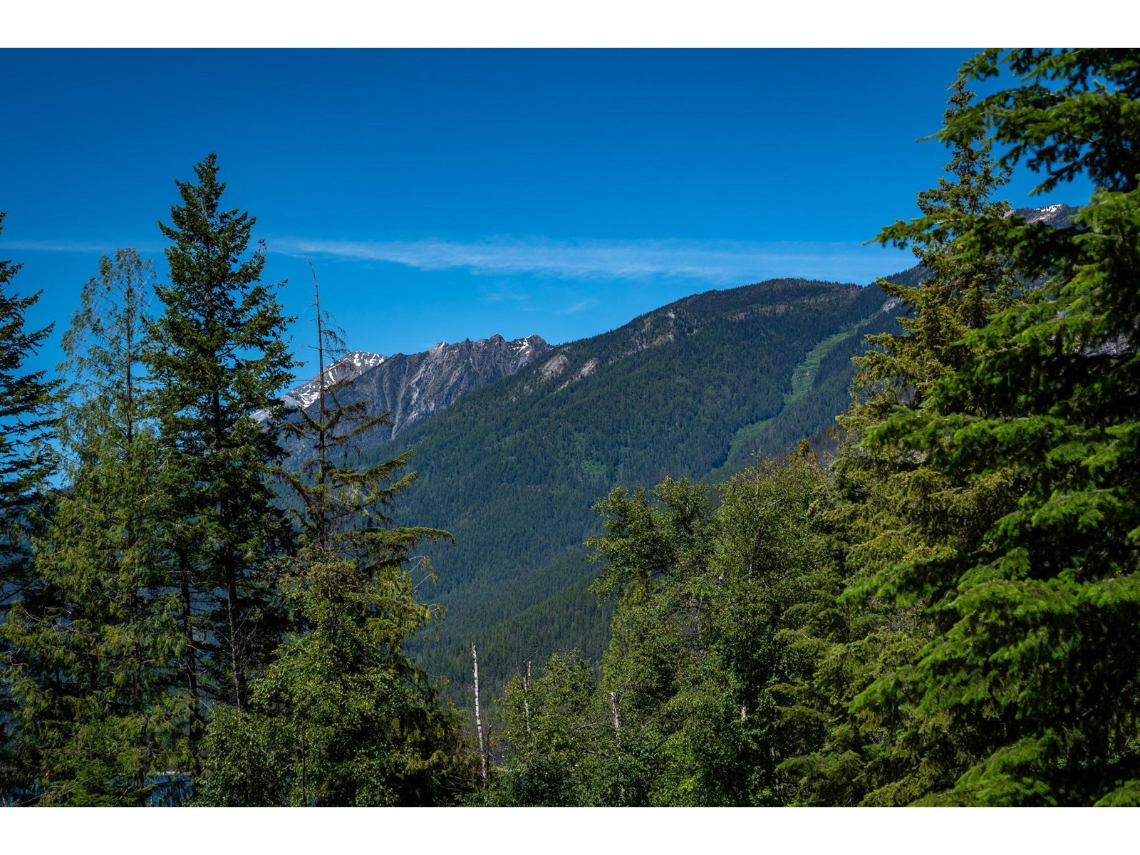 Lot A Birchdale Road, Kaslo, British Columbia  V0G 1M0 - Photo 42 - 2478282