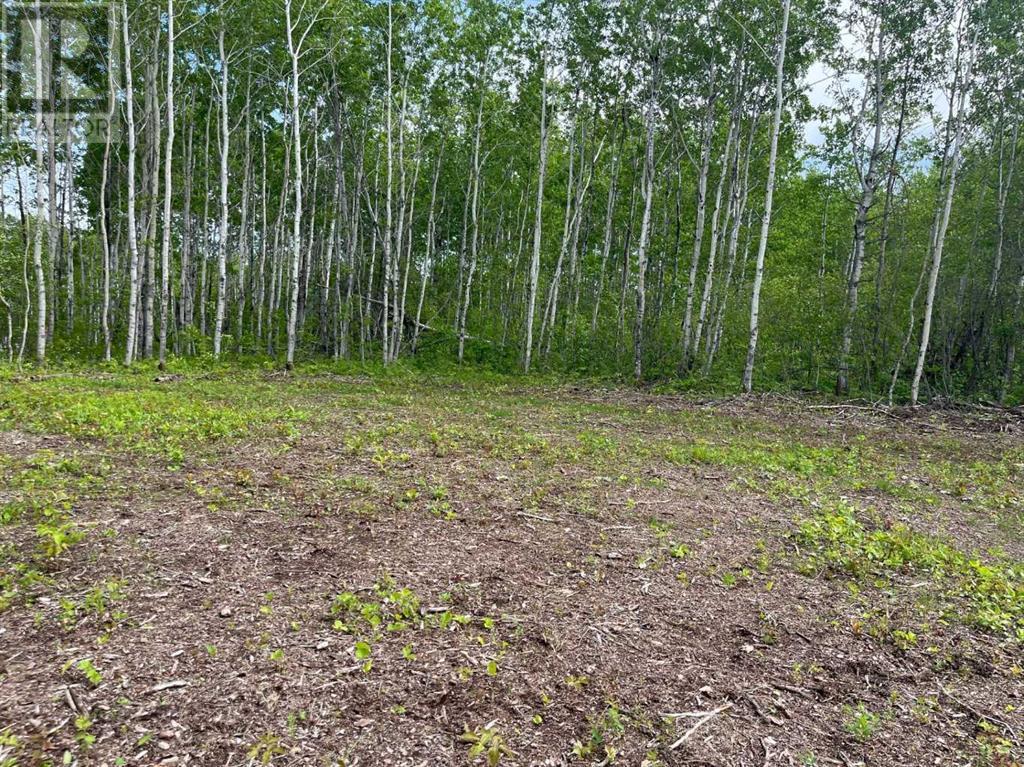 Lot 5 Murphy Lake, Rm Of Loon Lake, Rural, Saskatchewan  S0M 1L0 - Photo 19 - A2148383