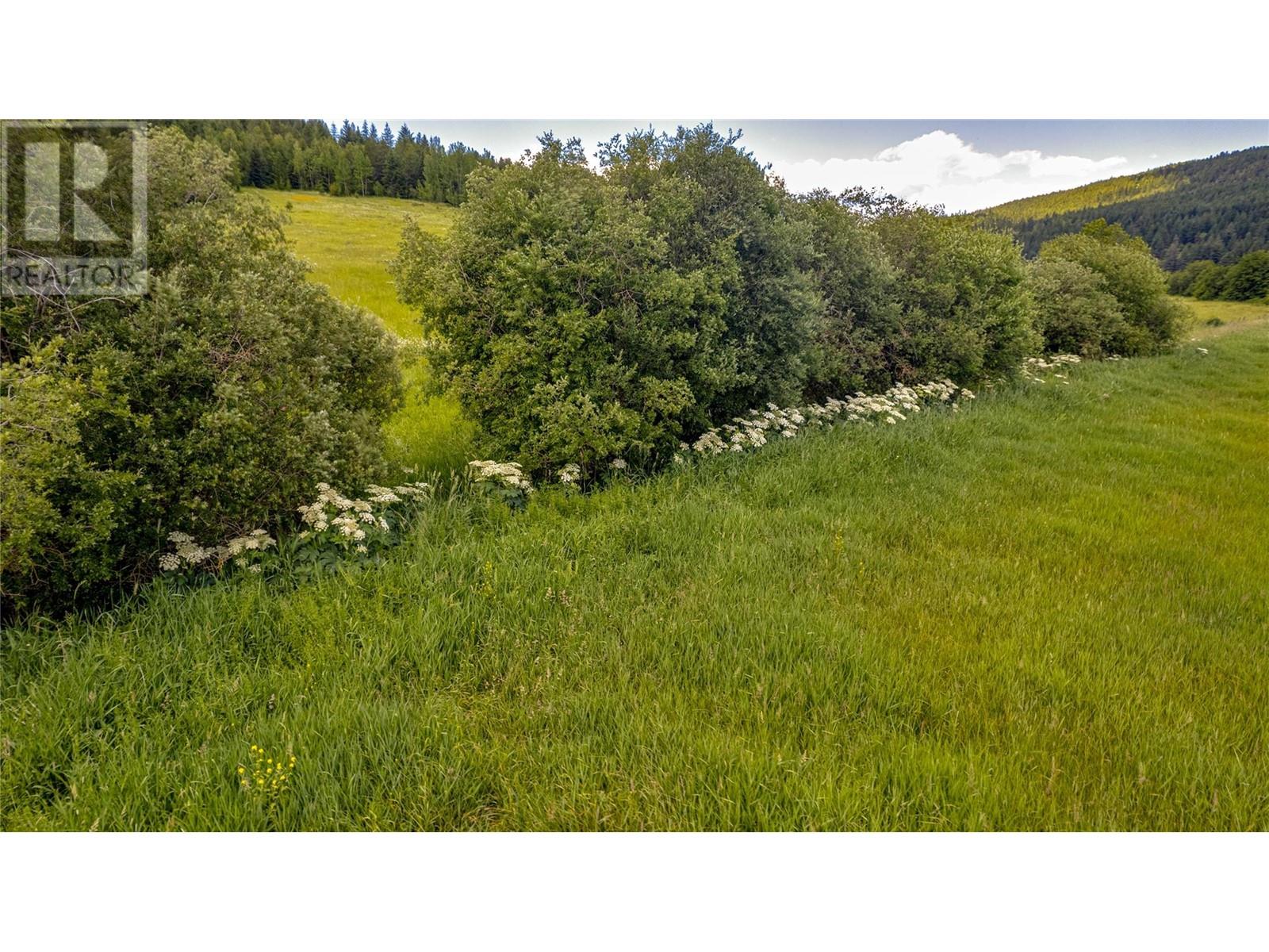 6721 Six Mile Creek Road, Falkland, British Columbia  V0E 1W1 - Photo 15 - 10319319