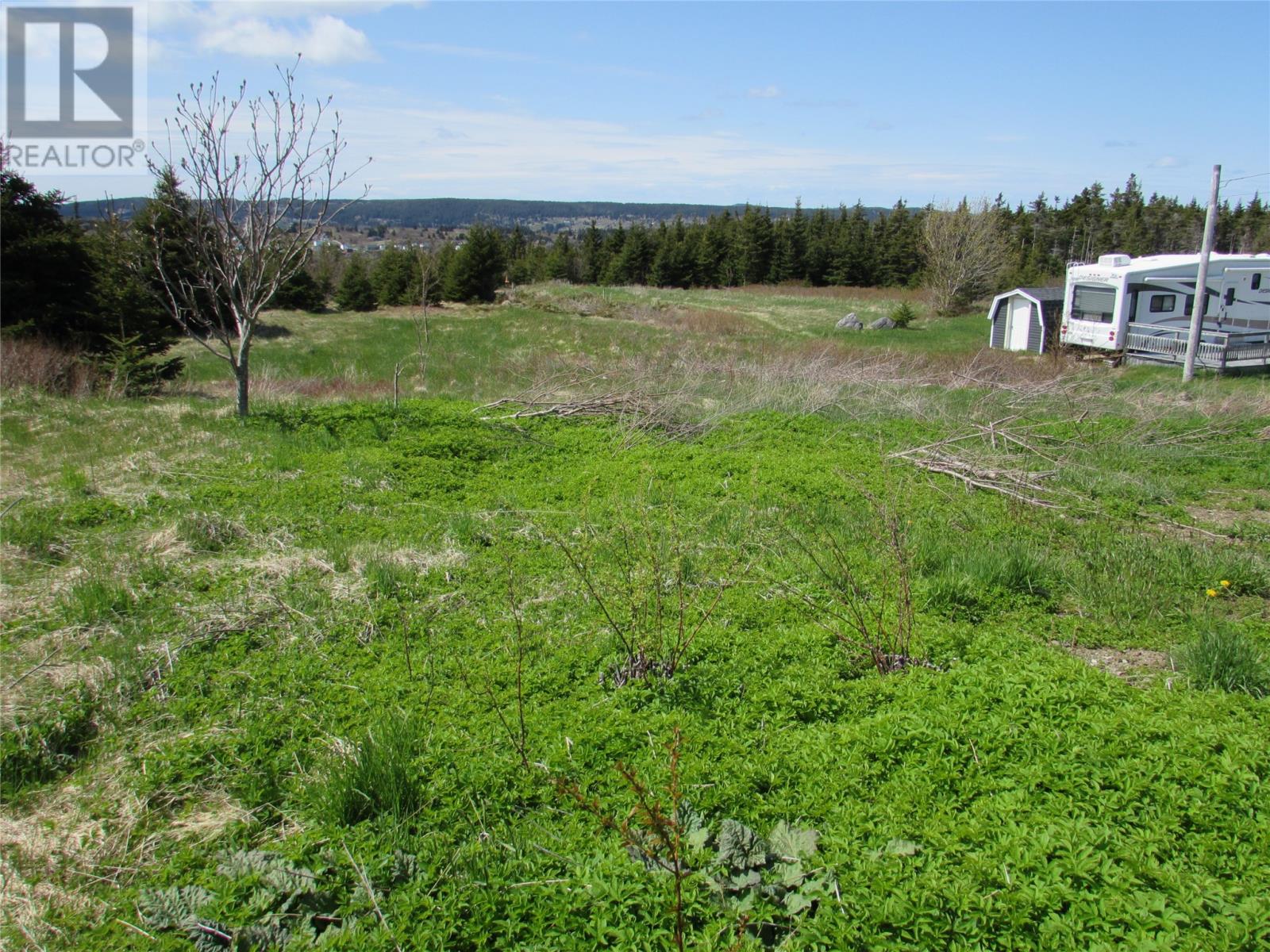 113 Point Road, Chapel's Cove, Newfoundland & Labrador  A0A 1V0 - Photo 5 - 1274684