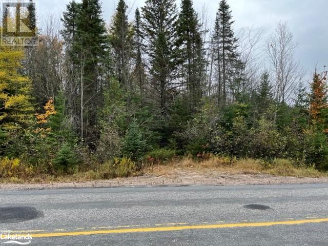 0 534 Highway, Nipissing, Ontario  P0H 1W0 - Photo 3 - 40618482