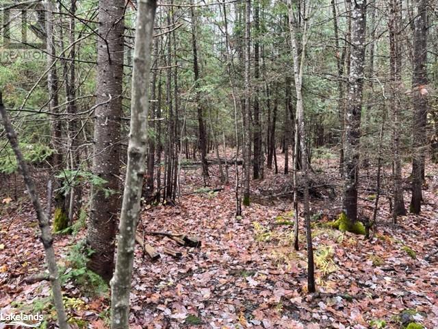 0 534 Highway, Nipissing, Ontario  P0H 1W0 - Photo 6 - 40618482