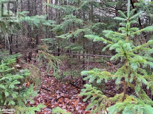 0 534 Highway, Nipissing, Ontario  P0H 1W0 - Photo 8 - 40618482