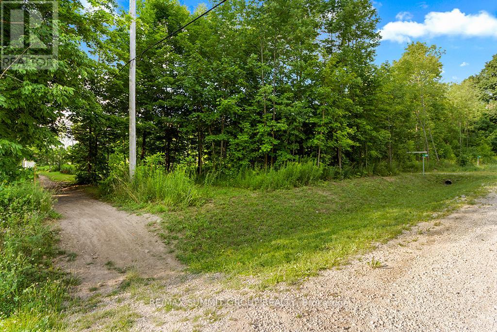 185 Raglan Street, Grey Highlands, Ontario  N0C 1E0 - Photo 17 - X9007222