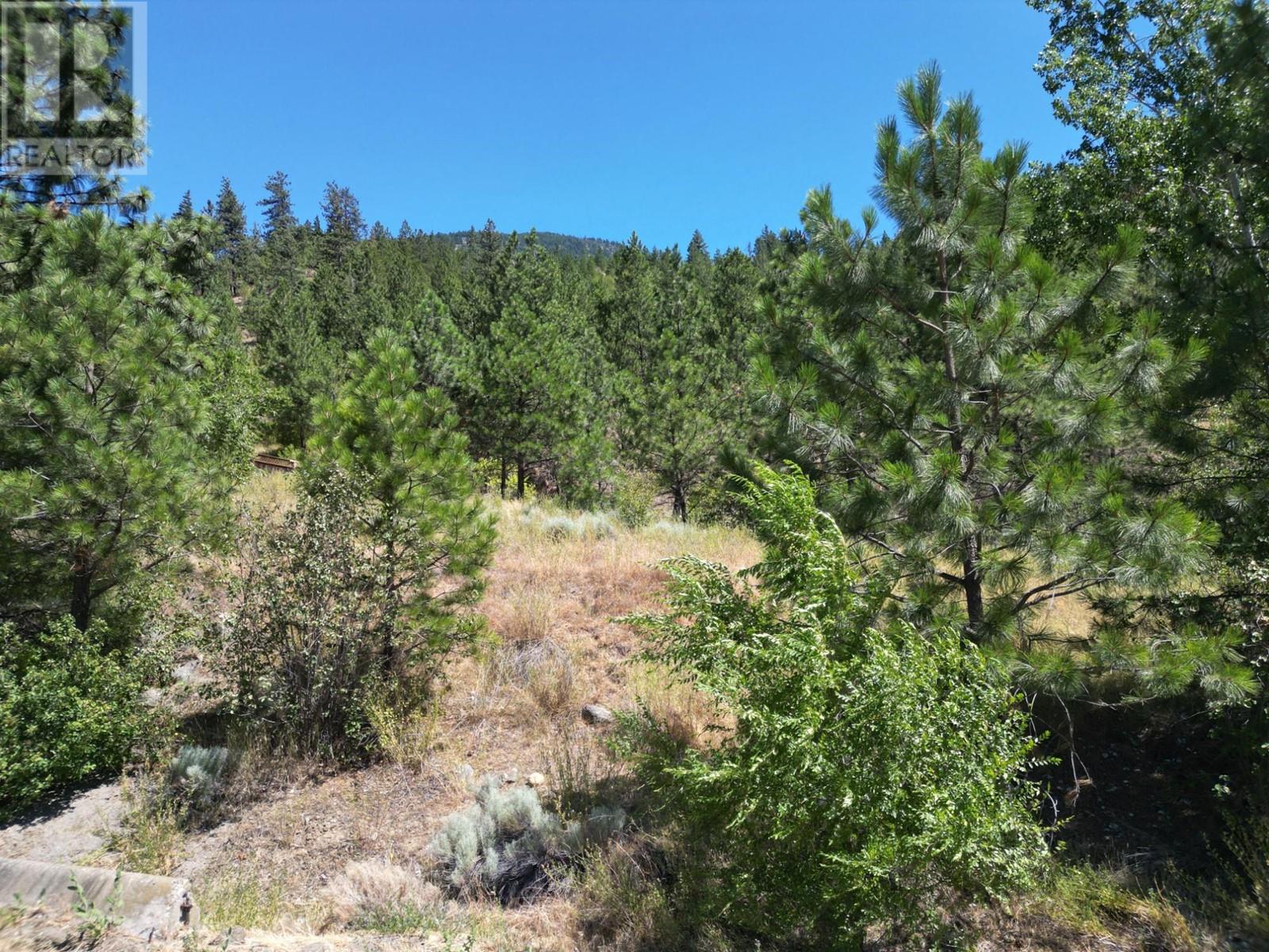 183 Loring Way E, Lytton, British Columbia   - Photo 4 - 179813