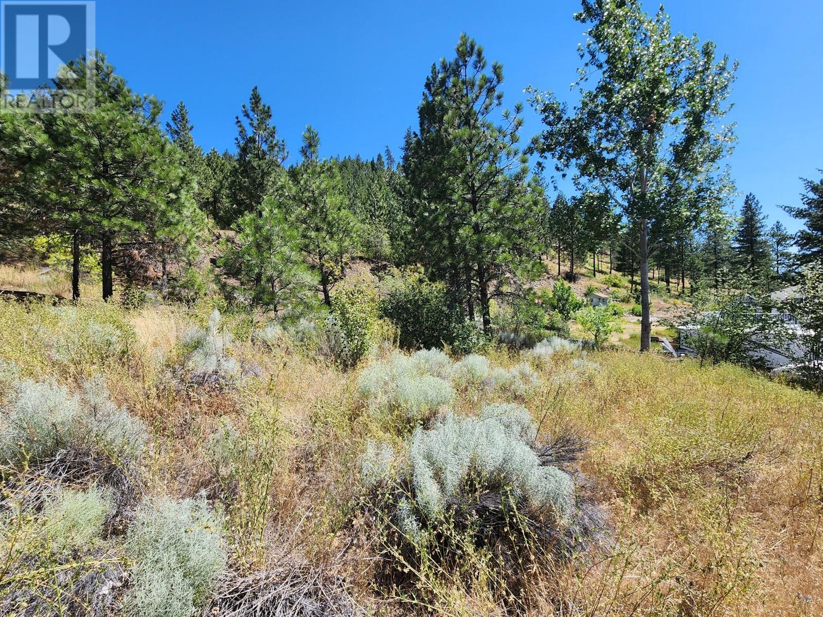 183 Loring Way E, Lytton, British Columbia   - Photo 9 - 179813