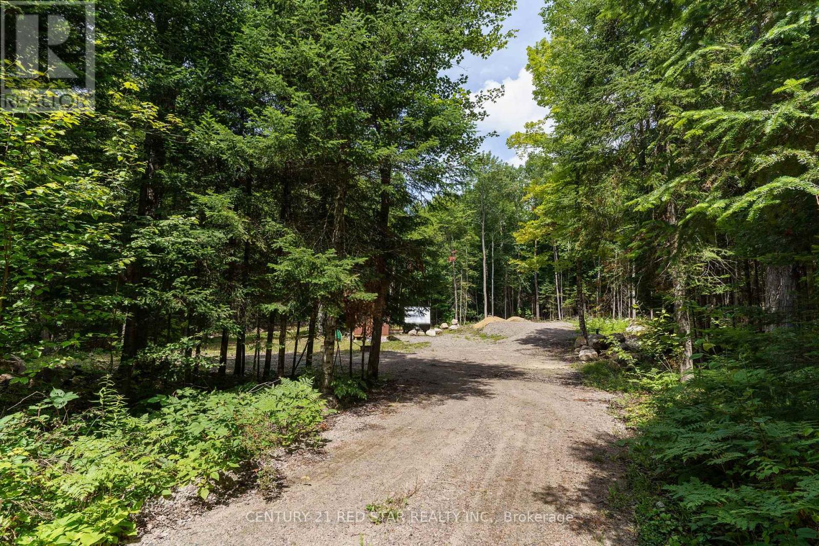 2978 Glamorgan Road, Highlands East, Ontario  K0M 1S0 - Photo 3 - X9033906