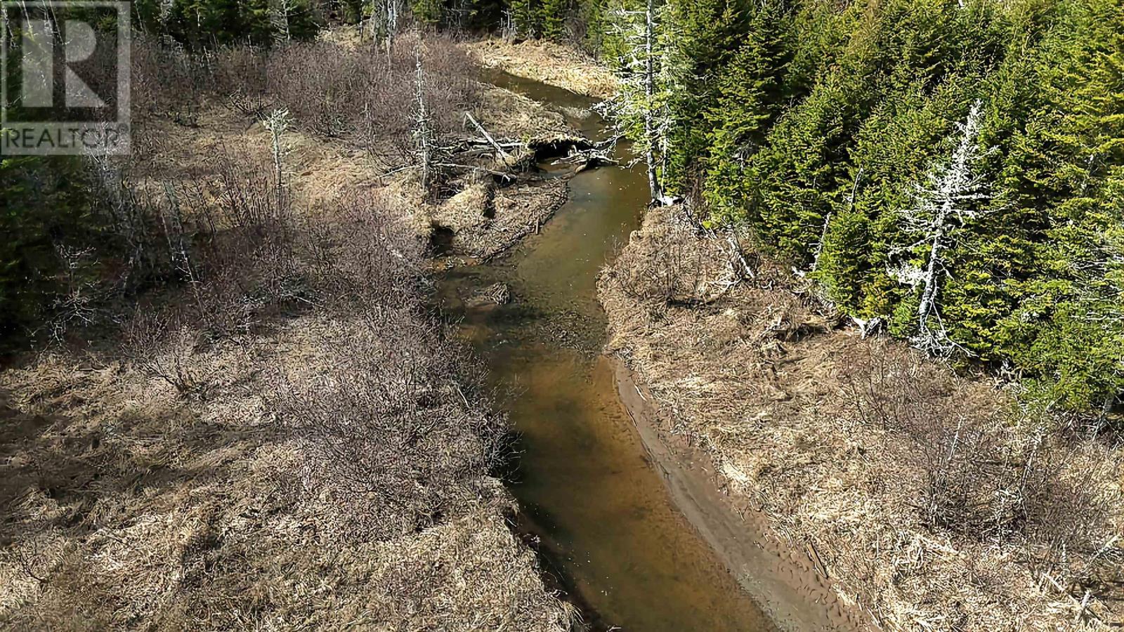 12892 Highway 224, Chaswood, Nova Scotia  B0N 2H0 - Photo 6 - 202410172