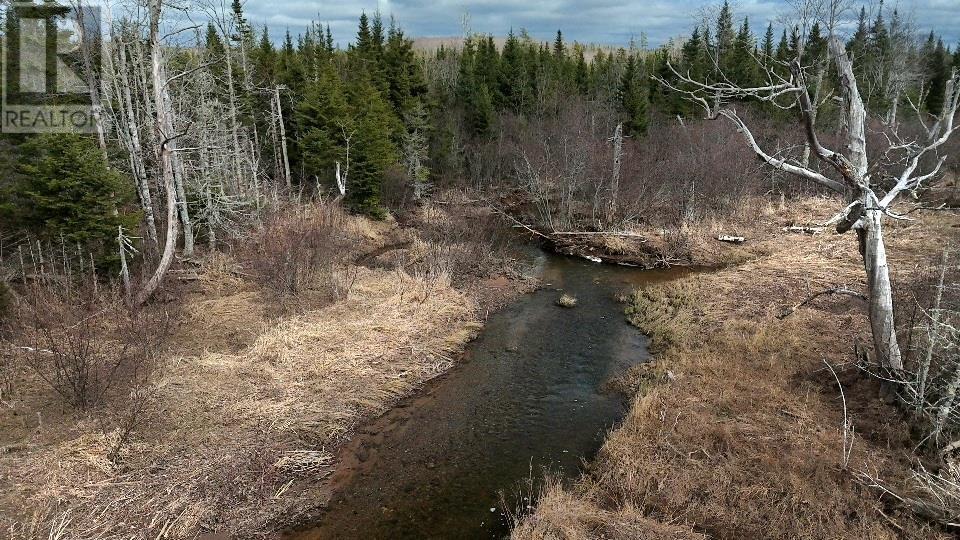 12892 Highway 224, Chaswood, Nova Scotia  B0N 2H0 - Photo 7 - 202410172