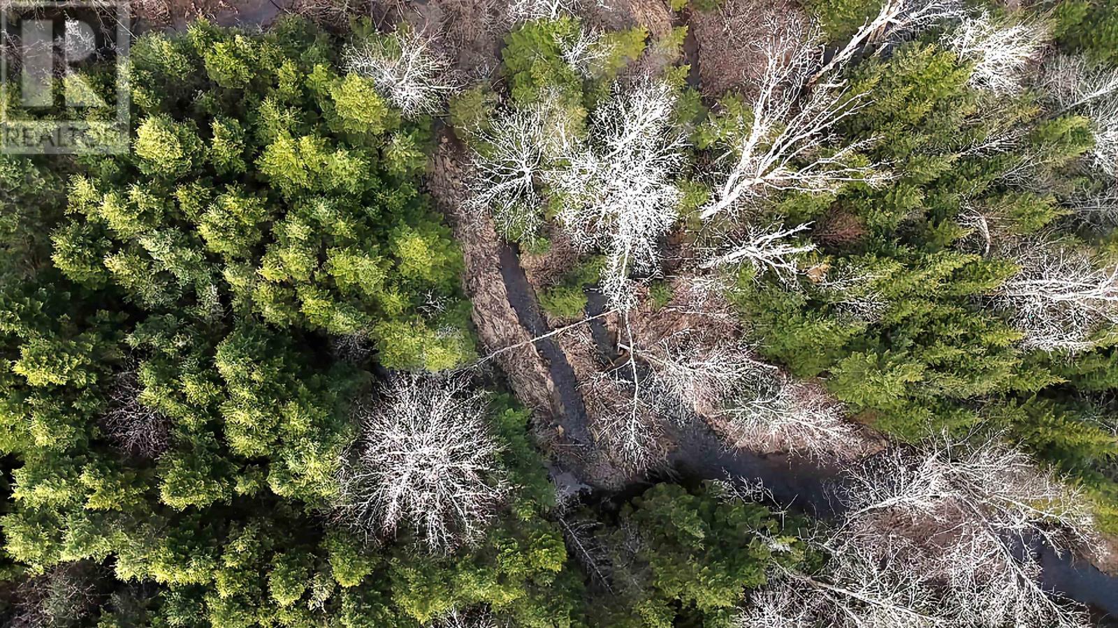 12892 Highway 224, Chaswood, Nova Scotia  B0N 2H0 - Photo 8 - 202410172