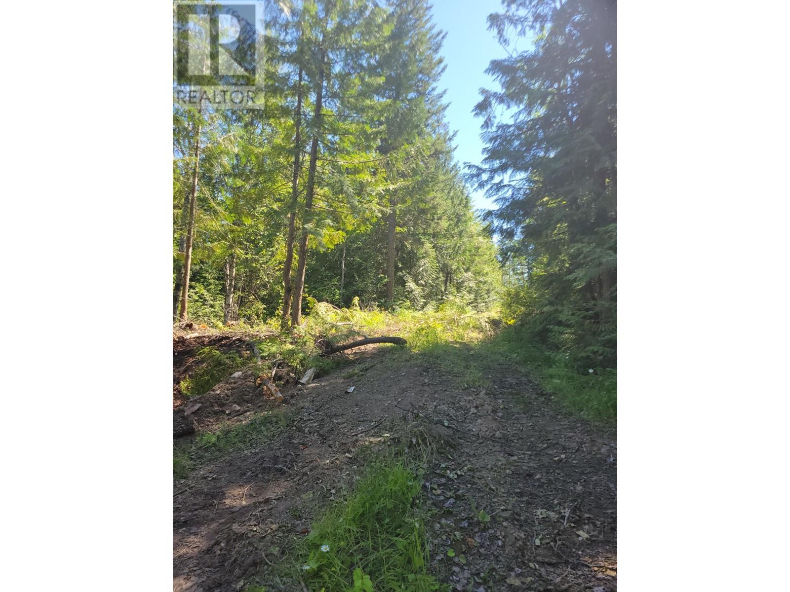 941 Chase Falkland Rd, Chase, British Columbia  V0E 1M0 - Photo 12 - 179821