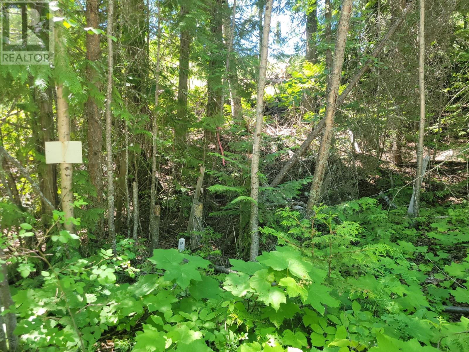 941 CHASE FALKLAND RD, chase, British Columbia