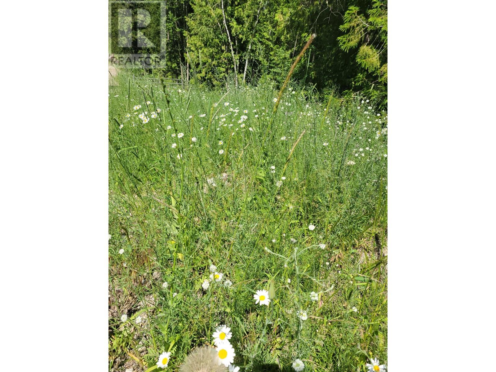 941 Chase Falkland Rd, Chase, British Columbia  V0E 1M0 - Photo 7 - 179821