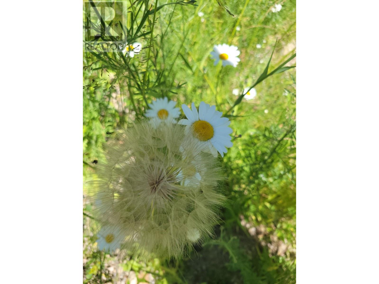 941 Chase Falkland Rd, Chase, British Columbia  V0E 1M0 - Photo 5 - 179821