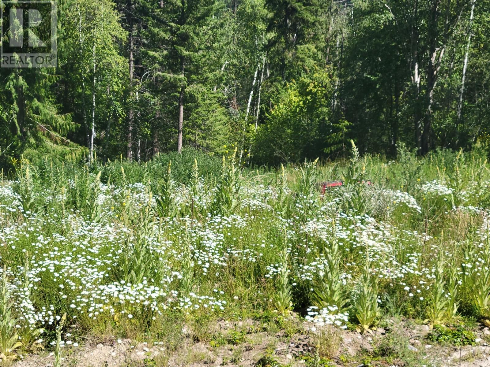 941 Chase Falkland Rd, Chase, British Columbia  V0E 1M0 - Photo 23 - 179821