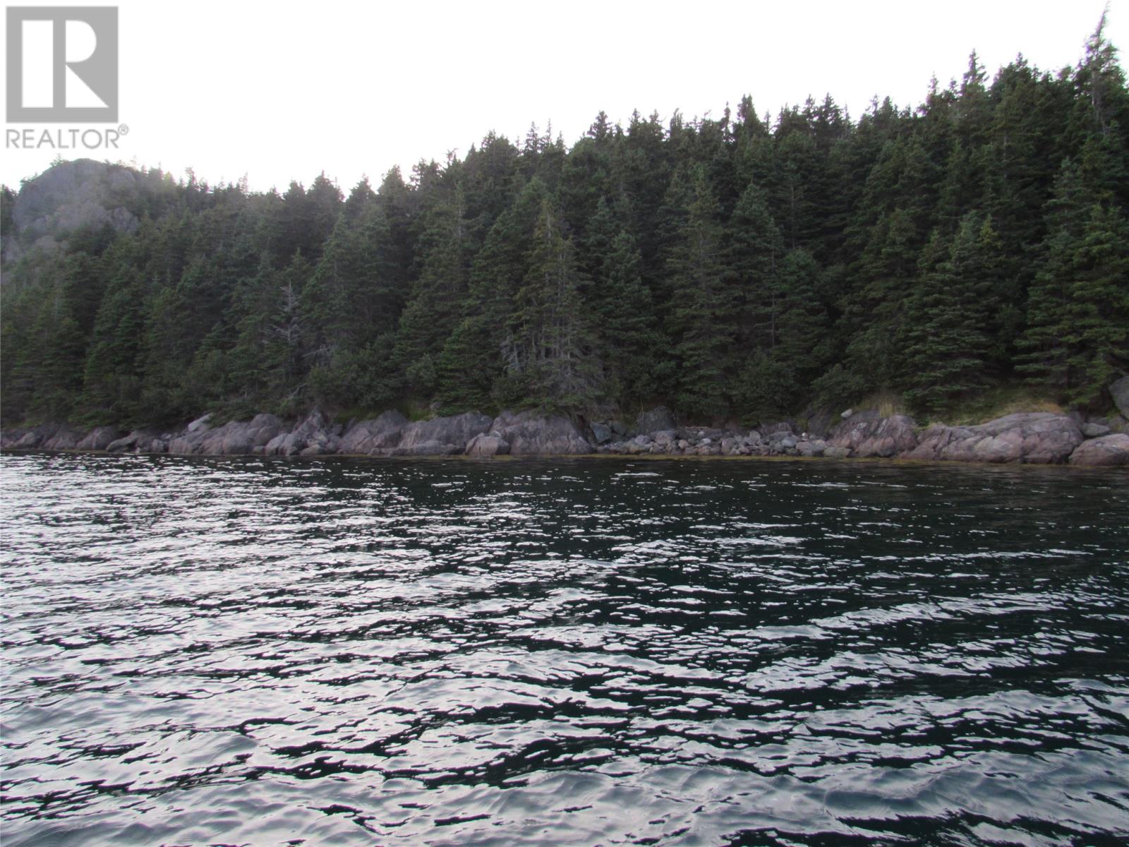 Lorem Ipsum Dolor, Avondale, Newfoundland & Labrador  A0A  - Photo 31 - DEMO27132727