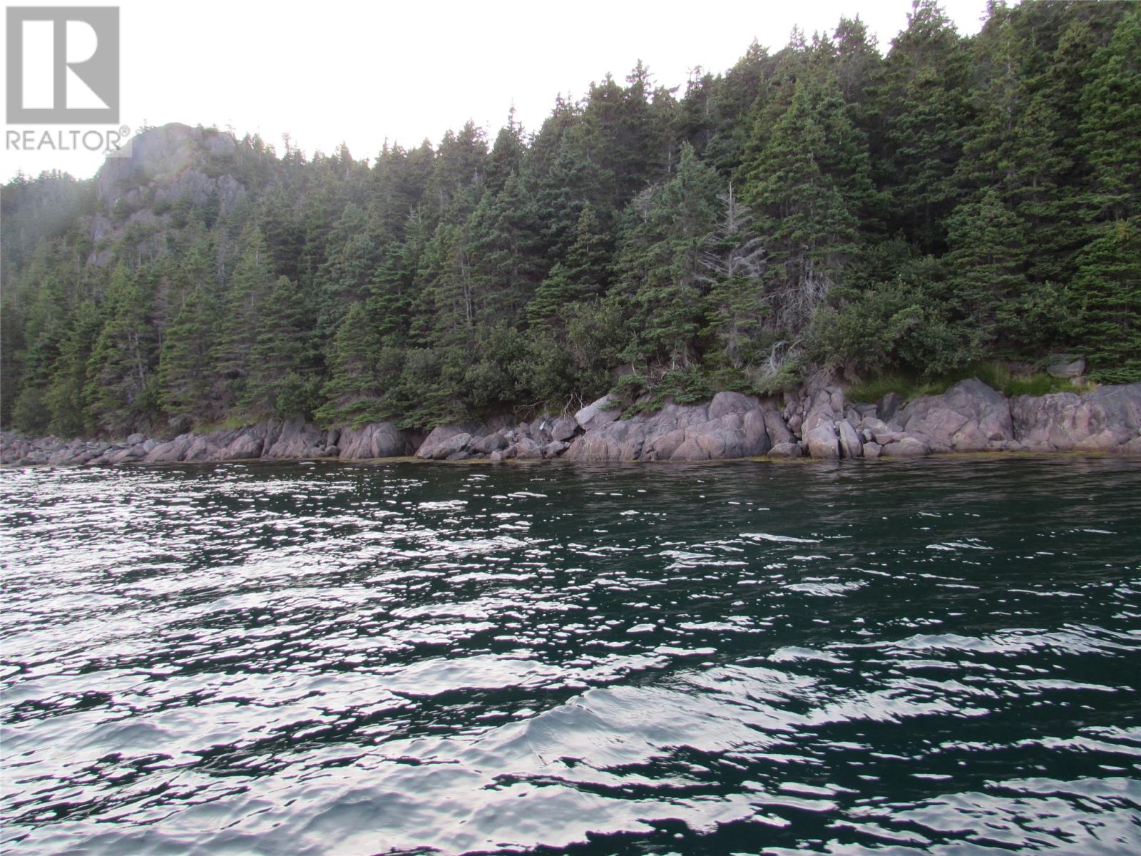Lorem Ipsum Dolor, Avondale, Newfoundland & Labrador  A0A  - Photo 33 - DEMO27132727