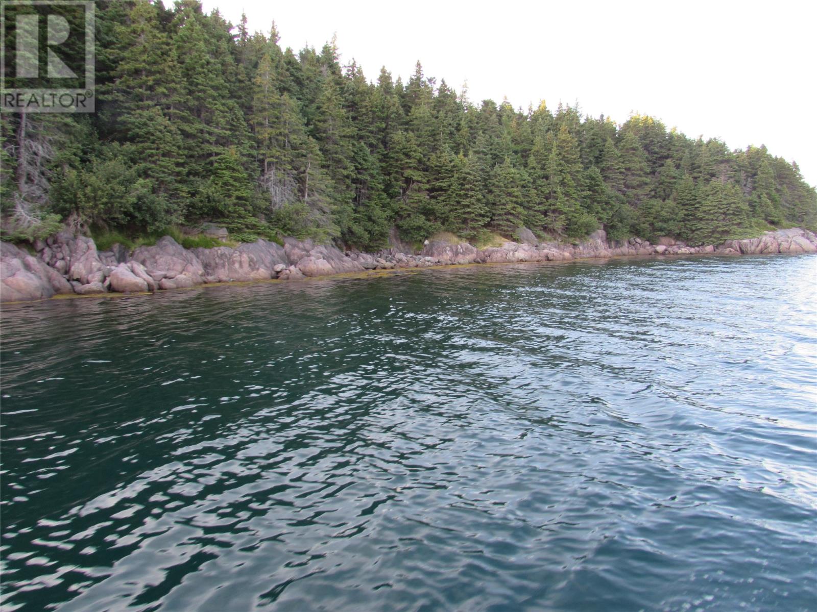 Lorem Ipsum Dolor, Avondale, Newfoundland & Labrador  A0A  - Photo 36 - DEMO27132727