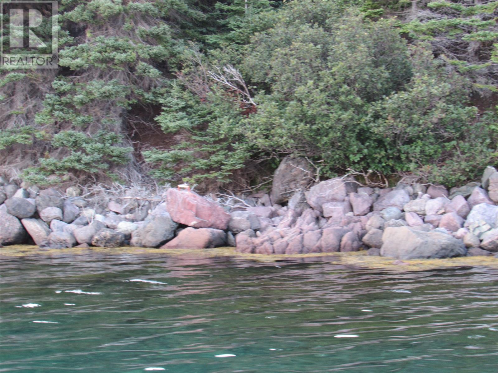 Lorem Ipsum Dolor, Avondale, Newfoundland & Labrador  A0A  - Photo 38 - DEMO27132727