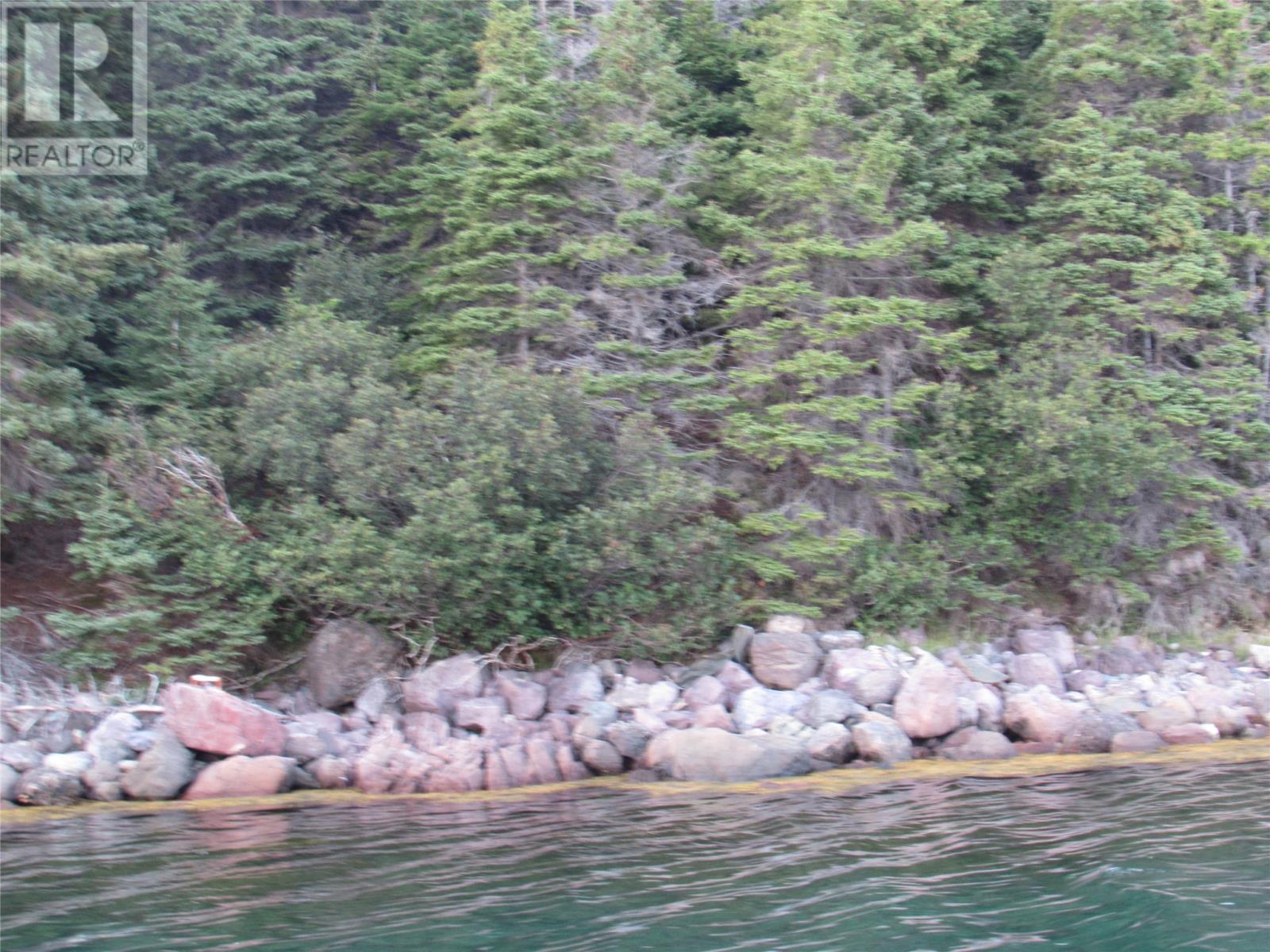 Lorem Ipsum Dolor, Avondale, Newfoundland & Labrador  A0A  - Photo 39 - DEMO27132727