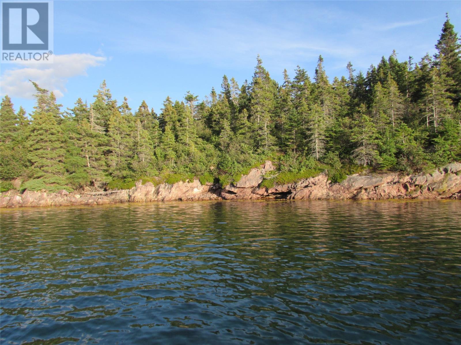 Lorem Ipsum Dolor, Avondale, Newfoundland & Labrador  A0A  - Photo 8 - DEMO27132727