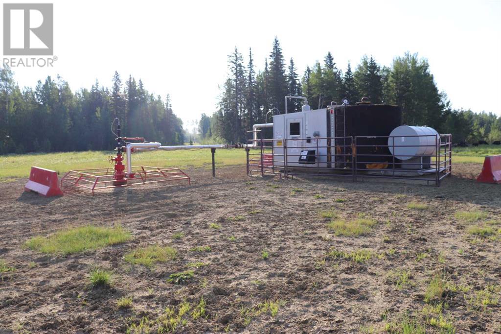 Ne - 16-53-11 W5 Range Road 113, Rural Yellowhead County, Alberta  T0E 2M0 - Photo 13 - A2148616