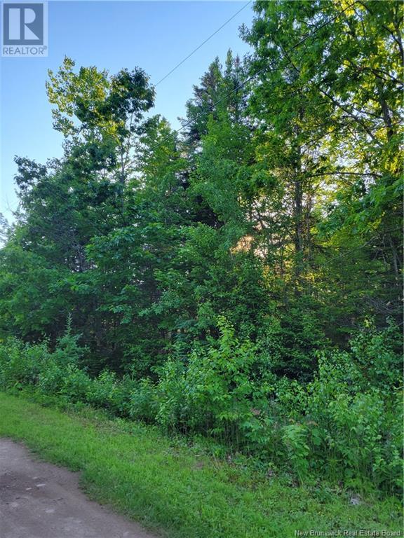 Lot 79-18 Morton Lane, Cumberland Bay, New Brunswick  E4A 3J3 - Photo 1 - NB103087