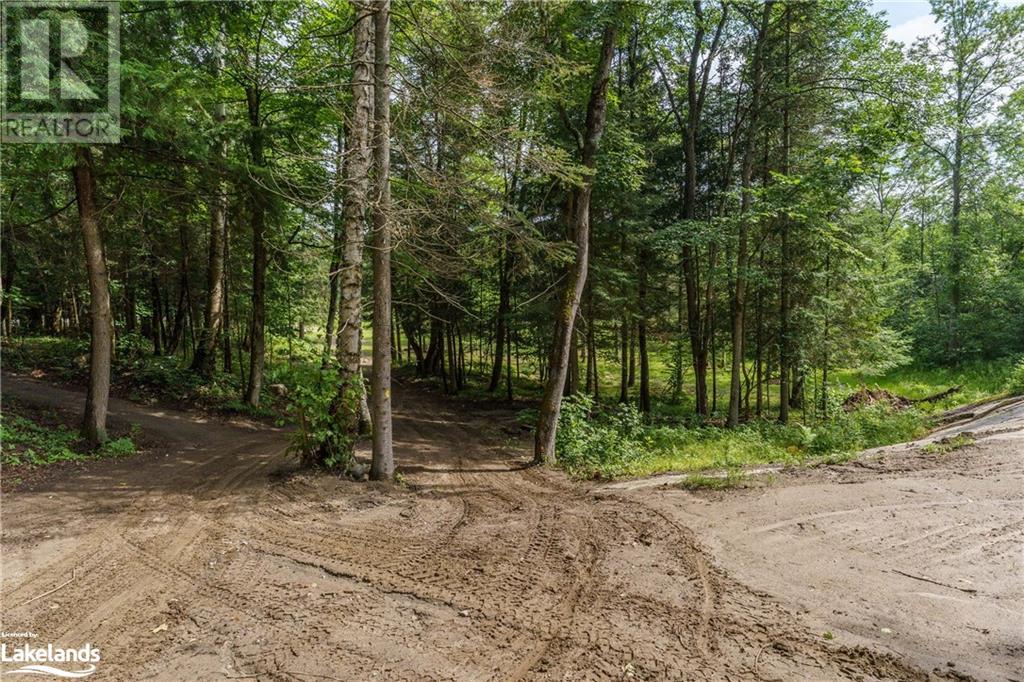 0 Highway 520 W, Magnetawan, Ontario  P0A 1P0 - Photo 5 - X10435318