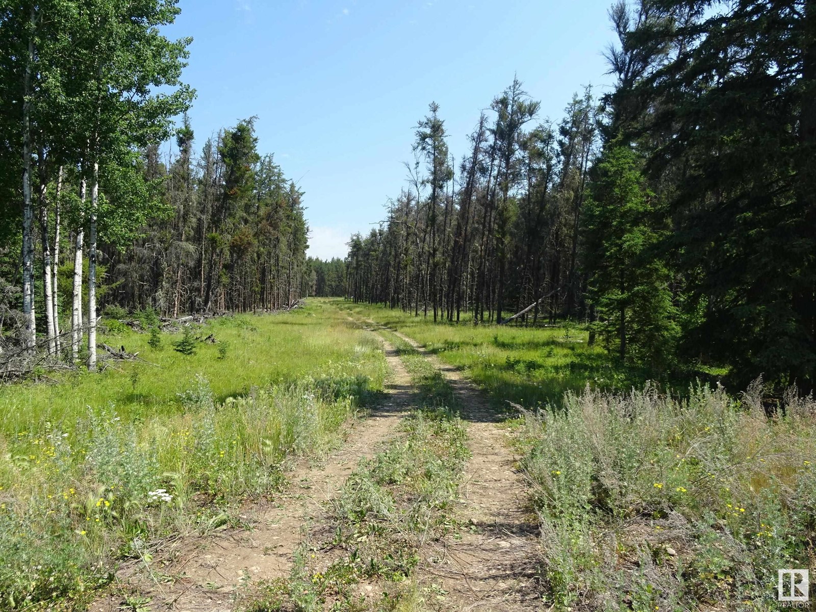 Rr180 Twp 610 W4 Rge 18 Twp 61 Sec1 Ne, Rural Smoky Lake County, Alberta  T0A 3C0 - Photo 12 - E4397129