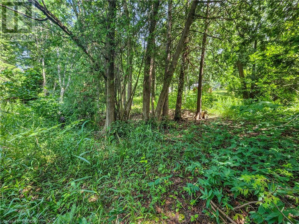 151 Mallard St, Georgian Bluffs, Ontario  N0H 2T0 - Photo 13 - X10847419