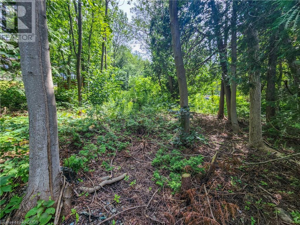 151 Mallard St, Georgian Bluffs, Ontario  N0H 2T0 - Photo 15 - X10847419