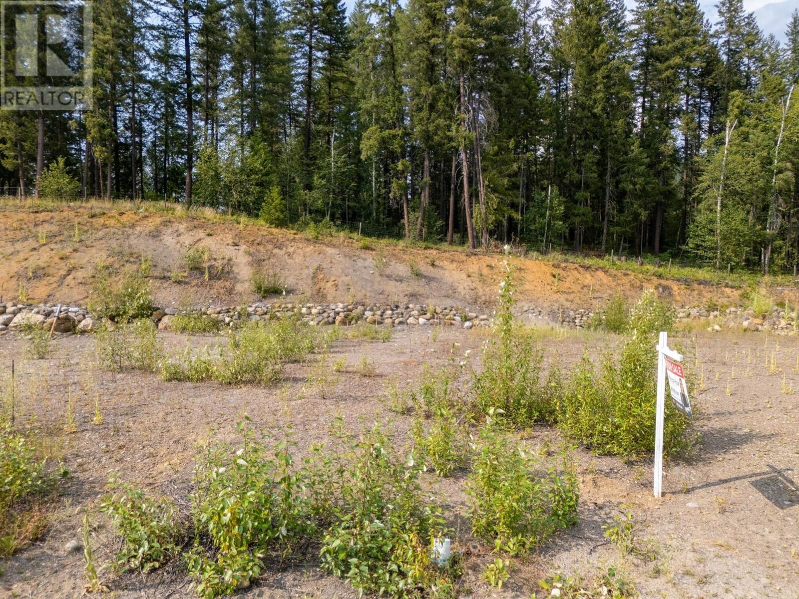 461 Lytton Cres, Clearwater, British Columbia  V0E 1N2 - Photo 3 - 179841