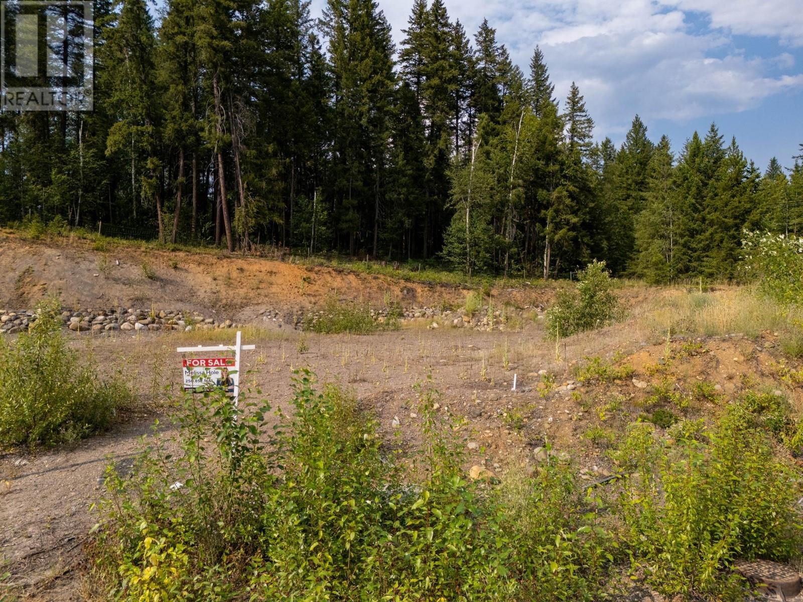 461 Lytton Cres, Clearwater, British Columbia  V0E 1N2 - Photo 5 - 179841